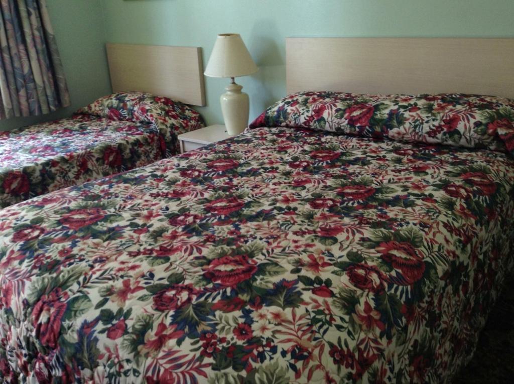 Alta Cienega Motel - Los Angeles — Photos 1